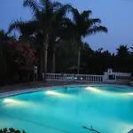 1 Bed Traditional Holiday Oasis Capistrano Spain